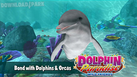 dolphin paradise: wild friends