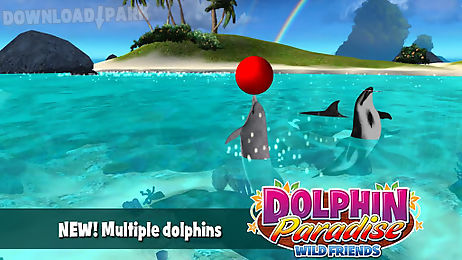 dolphin paradise: wild friends