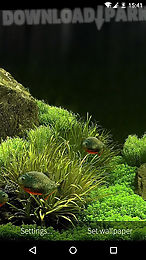 fish aquarium 3d