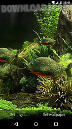 fish aquarium 3d