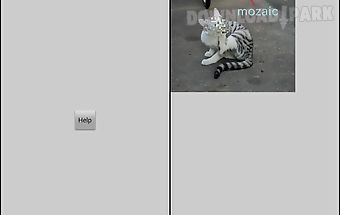 Image mosaic/blur pixelization