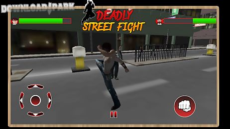 deadly street fight