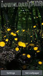 fireflies by top live wallpapers hq
