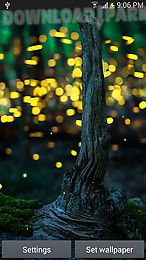 fireflies by top live wallpapers hq