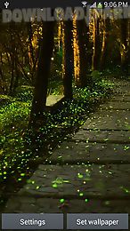 fireflies by top live wallpapers hq