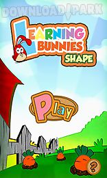 learning bunnies: shapes