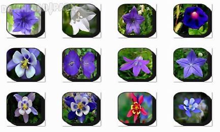 bell flowers onet classic game
