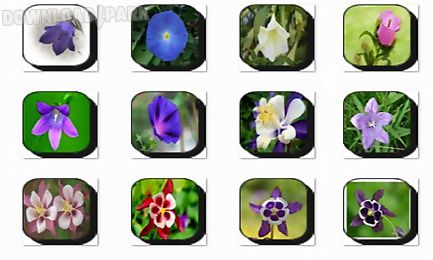 bell flowers onet classic game