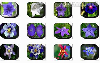 Bell flowers onet classic game