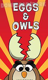 eggs n owls