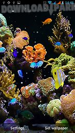 aquarium live wallpaper