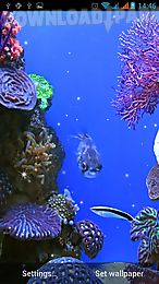 aquarium live wallpaper