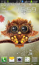 autumn little owl