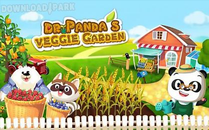 dr pandas veggie garden source