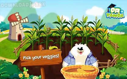 dr pandas veggie garden source