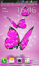 pink butterfly