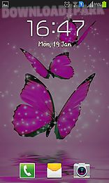 pink butterfly