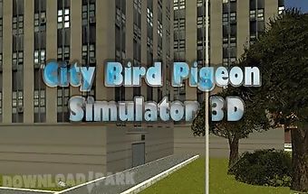 City bird: pigeon simulator 3d