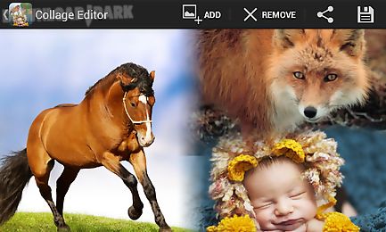 Picmix Free Insta Collage Android App Free Download In Apk