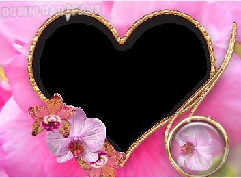 pink heart frames
