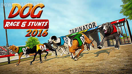 dog race and stunts 2016