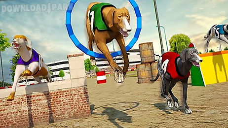 dog race and stunts 2016