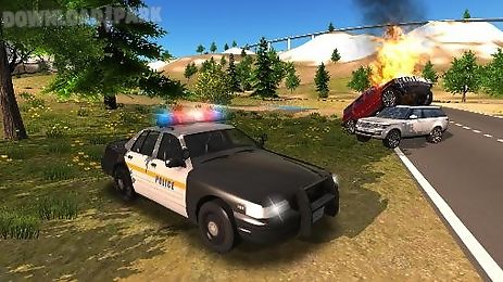 police car driving offroad