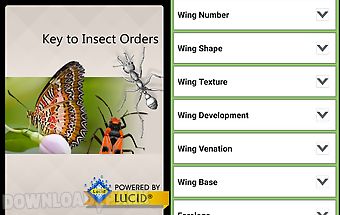Insect orders
