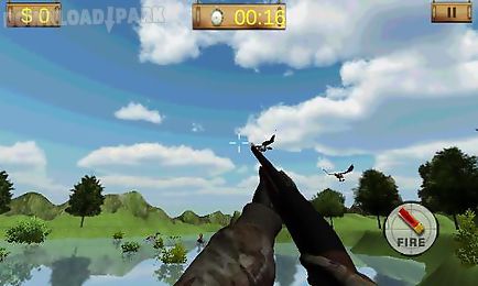 duck hunting 3d