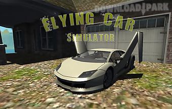 Flying car: extreme pilot