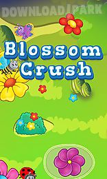 blossom crush