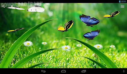 summer garden live wallpaper