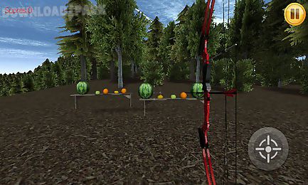 bow shoot 3d