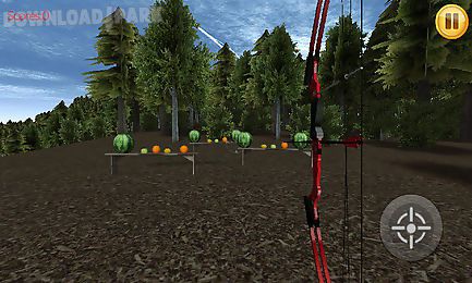 bow shoot 3d