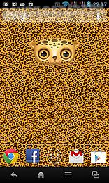 zoo: leopard