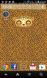 zoo: leopard