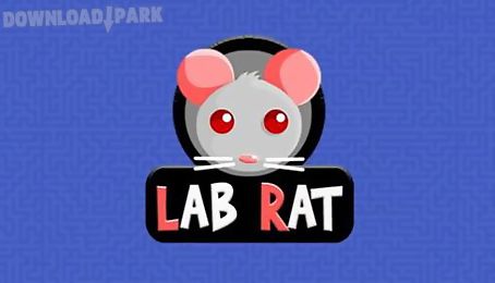 lab rat