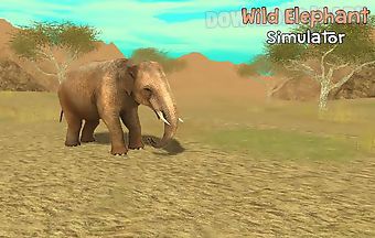 Wild elephant simulator 3d