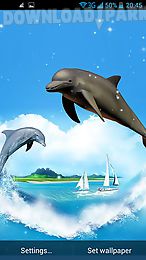 dolphin 3d