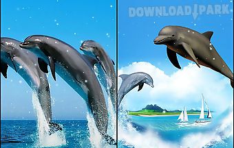 Dolphin 3d