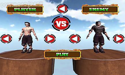 kungfu warriors 3d free