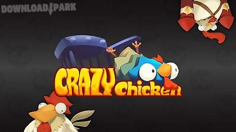 crazy chicken