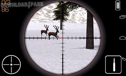 hunting animal winter