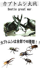 beetle wars