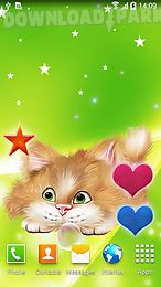 funny cat live wallpaper