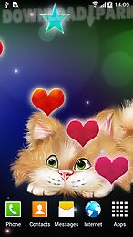 funny cat live wallpaper