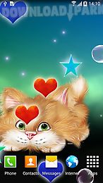 funny cat live wallpaper