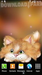 funny cat live wallpaper