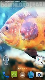 aquarium 3d. video wallpaper