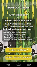 bamboo garden live wallpaper